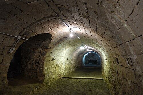 Cave voûtée en pierre d'un château brabançon, murs marqués par l'humidité