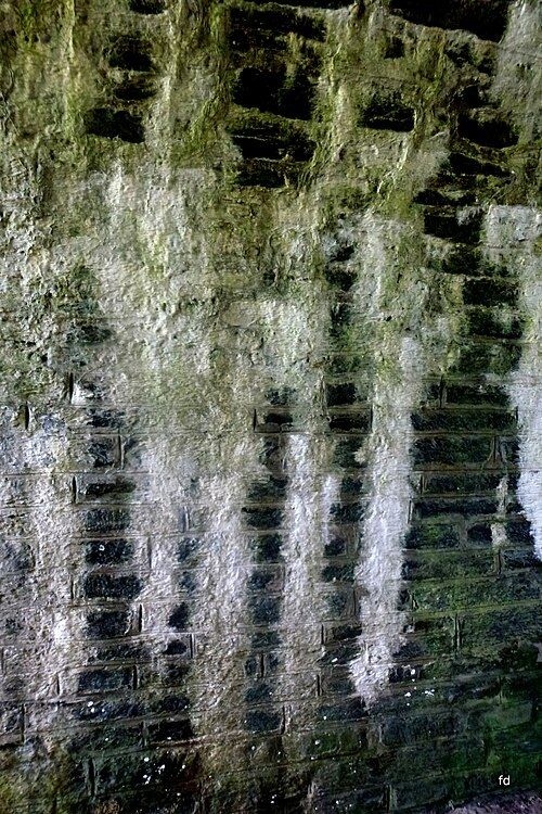 Traînées blanches de sels sur un mur de cave sombre